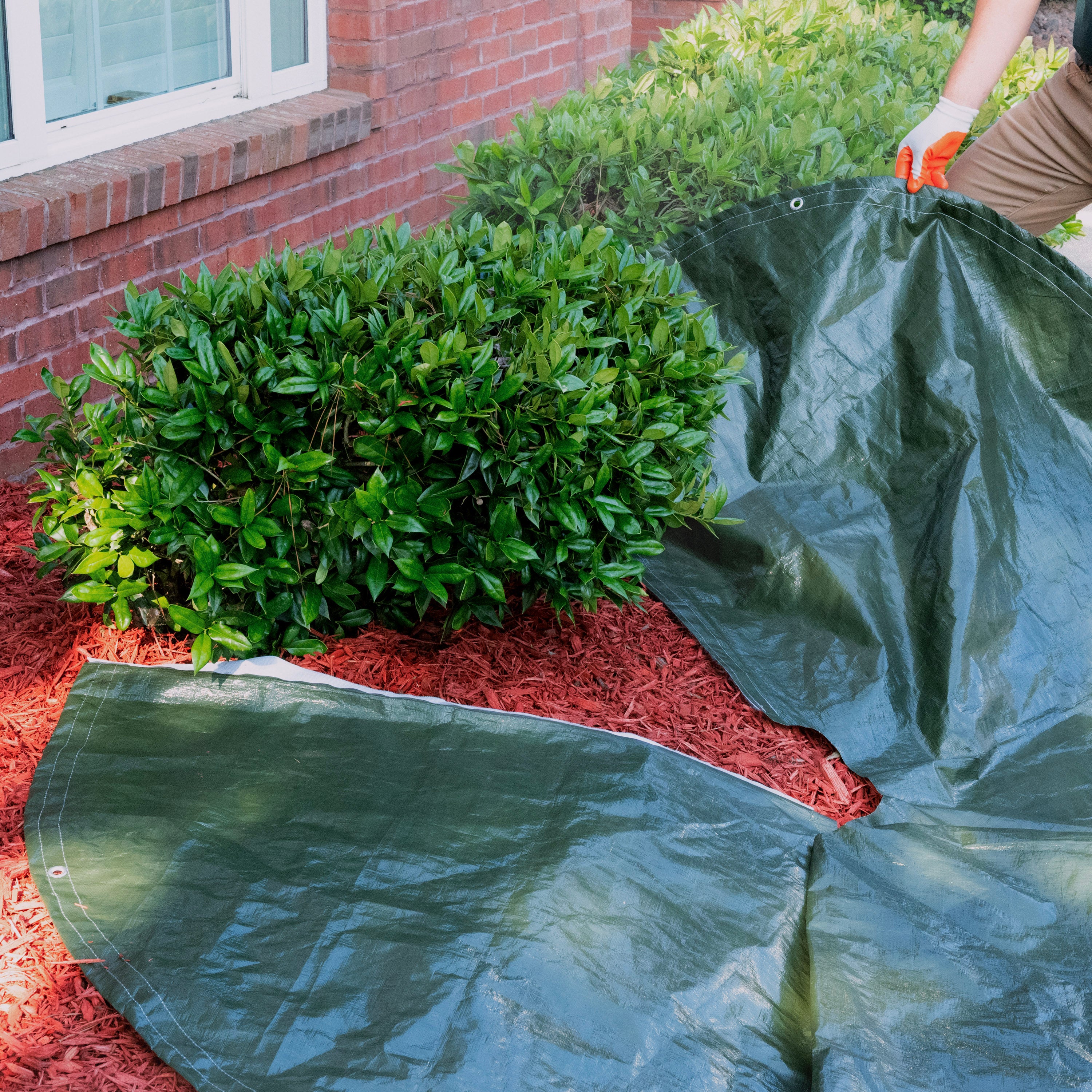 Clear-Cut Deluxe 10 Feet Landscape Tarp