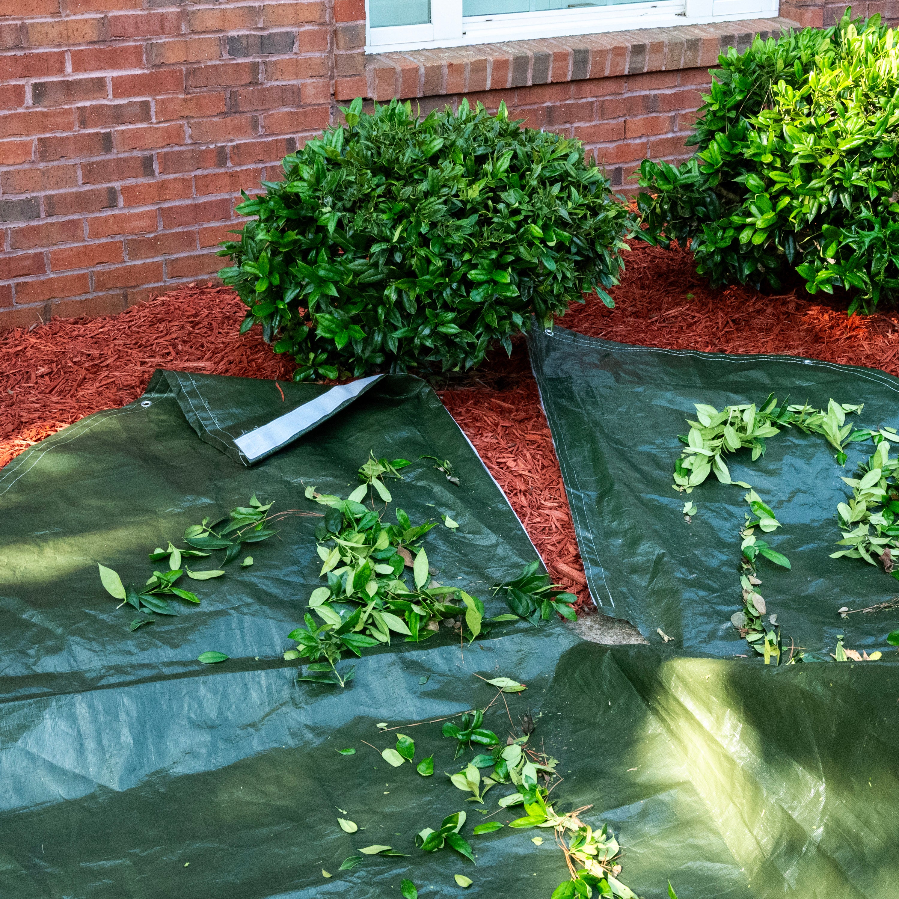 Clear-Cut Deluxe 10 Feet Landscape Tarp