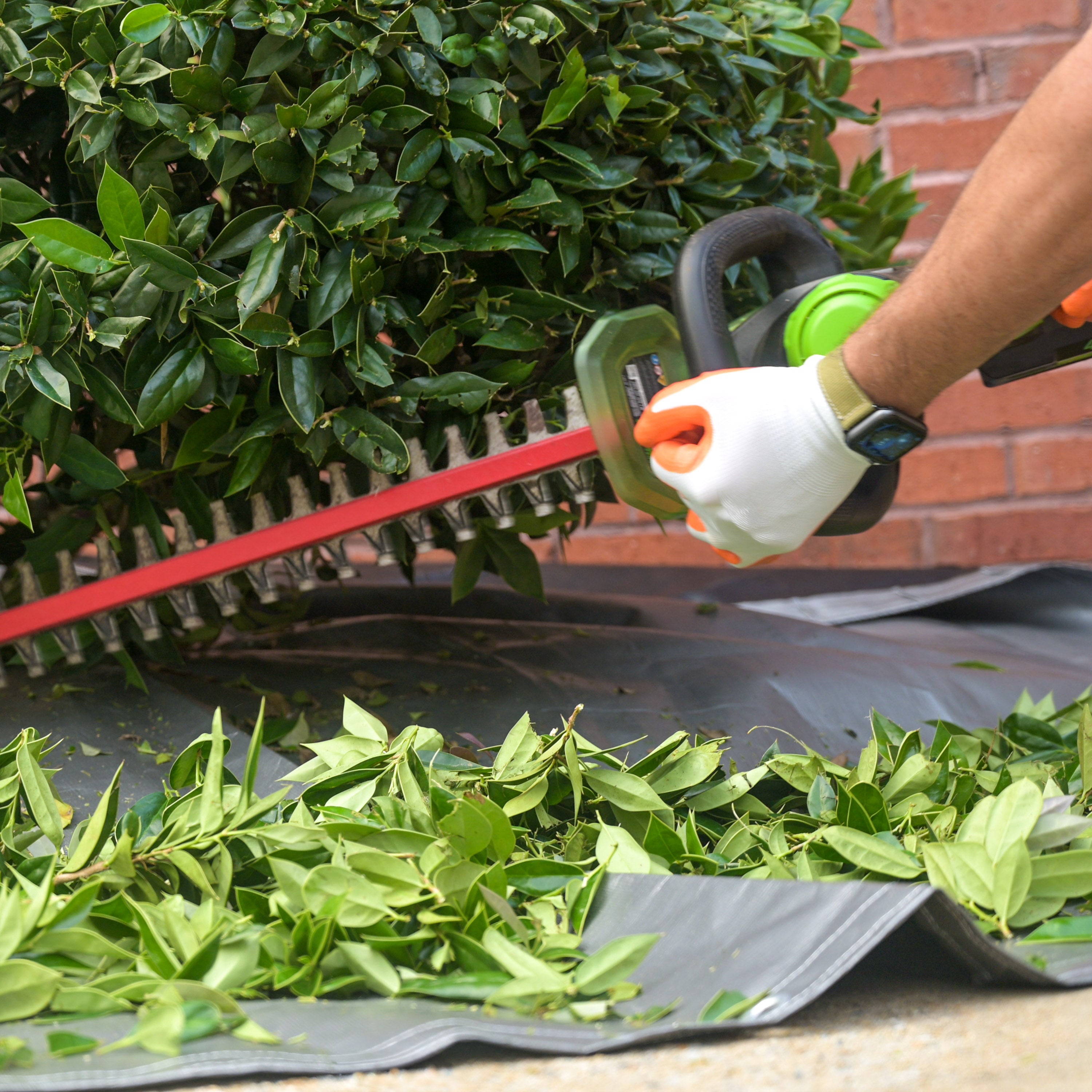 Clear-Cut Premium 10 Feet Landscape Tarp